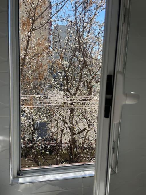 Warm Apartment In The Center Of Tirana City Exterior foto